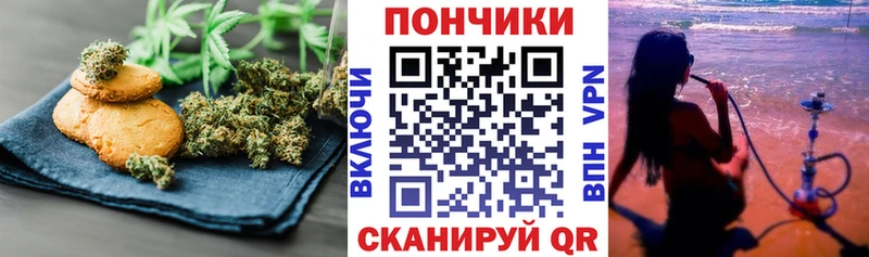 Canna-Cookies конопля  MEGA ONION  Апатиты  наркошоп 